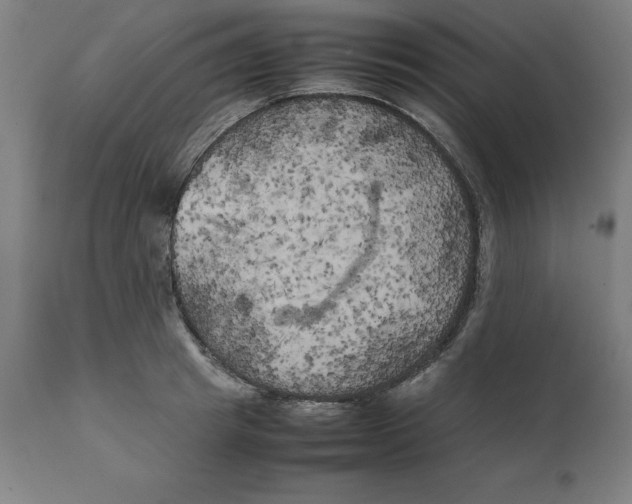 X0000111150849200907211201