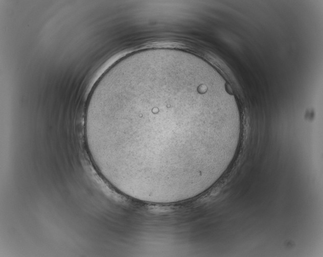 X0000111150852200907211201