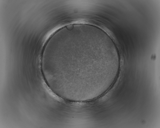 X0000111150854200907211201