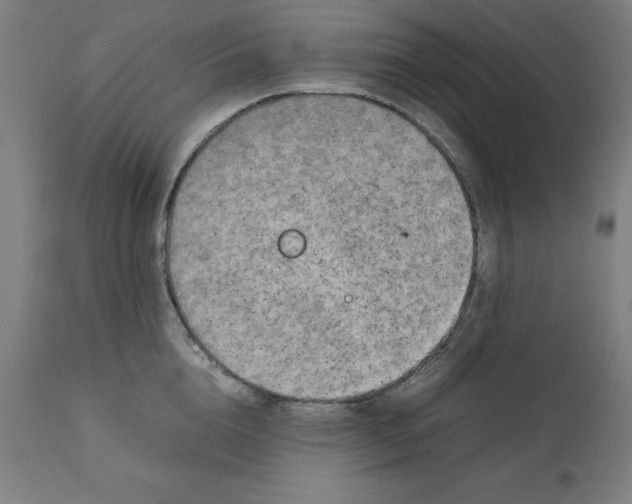 X0000111150856200907211201