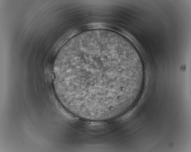 X0000111150857200907211201