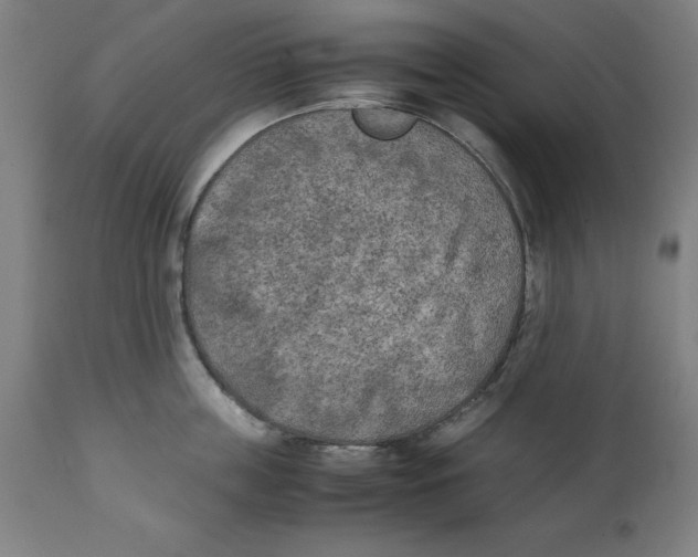 X0000111150859200907211201