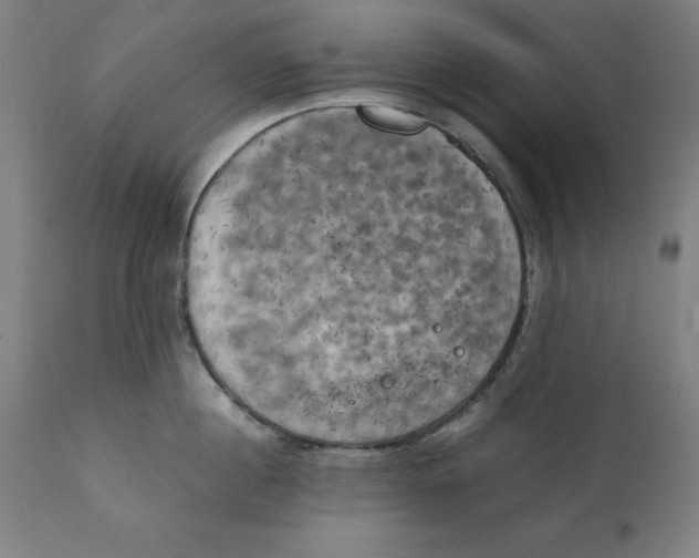 X0000111150860200907211201