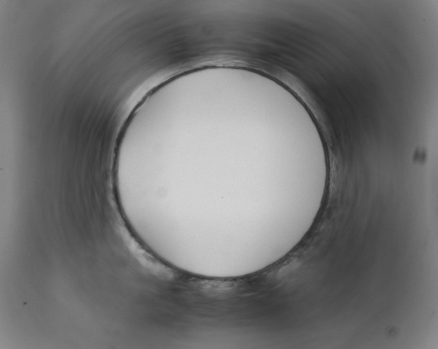 X0000111150861200907211201
