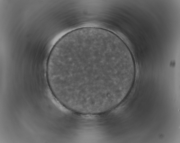 X0000111150862200907211201