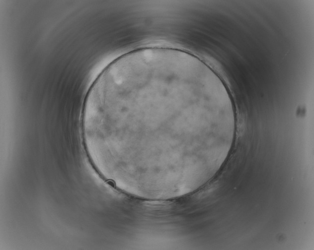X0000111150863200907211201
