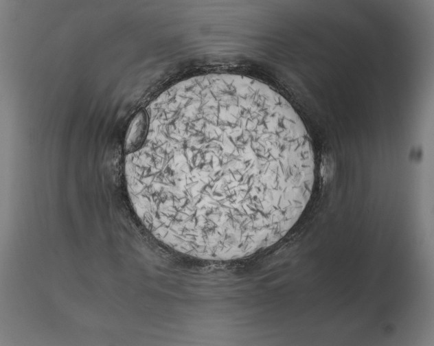 X0000111150867200907211200