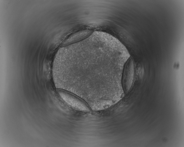 X0000111150868200907211200