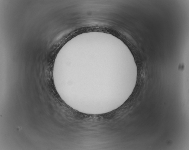 X0000111150869200907211200