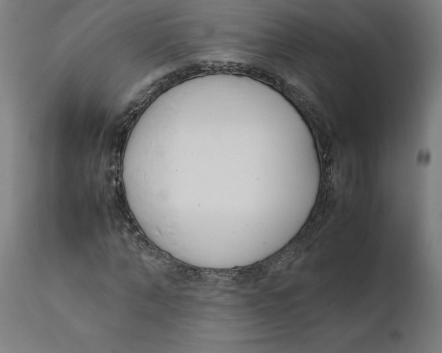 X0000111150870200907211200