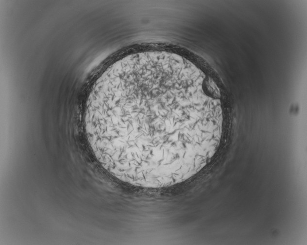 X0000111150871200907211200