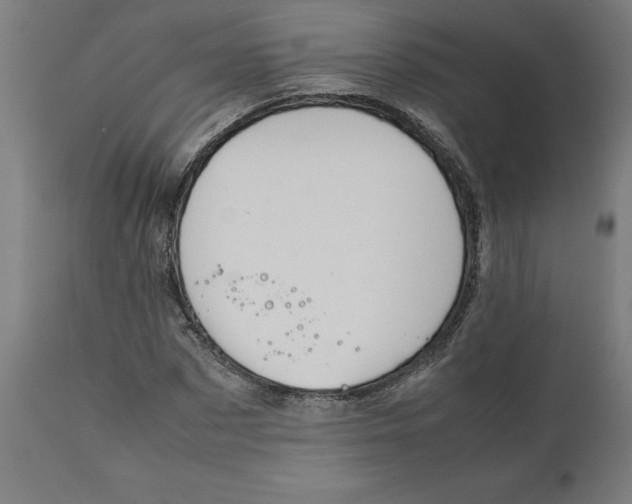 X0000111150873200907211200