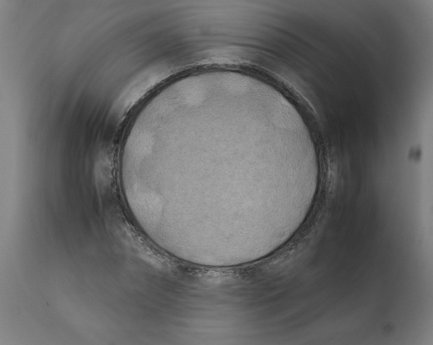 X0000111150874200907211200