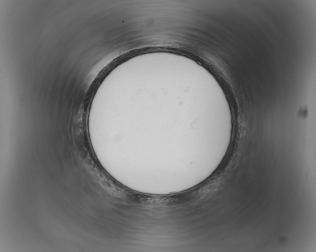 X0000111150875200907211200