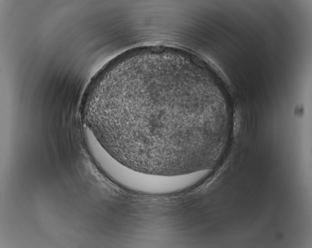 X0000111150876200907211200