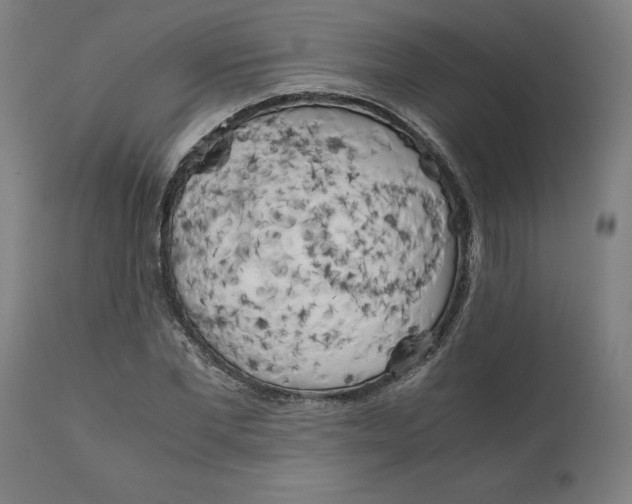 X0000111150877200907211200
