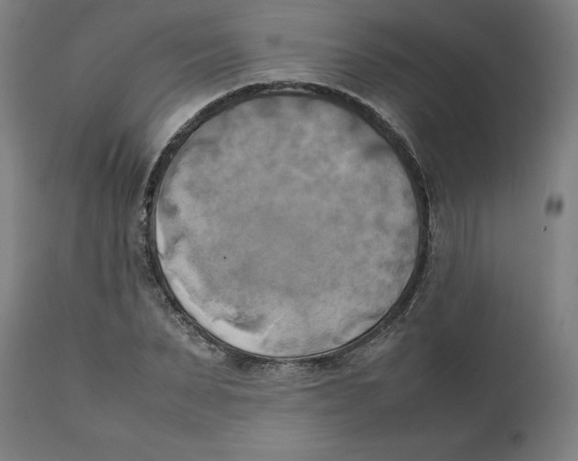 X0000111150879200907211200