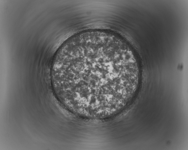 X0000111150881200907211200