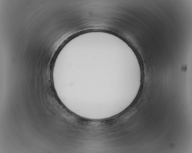 X0000111150883200907211200