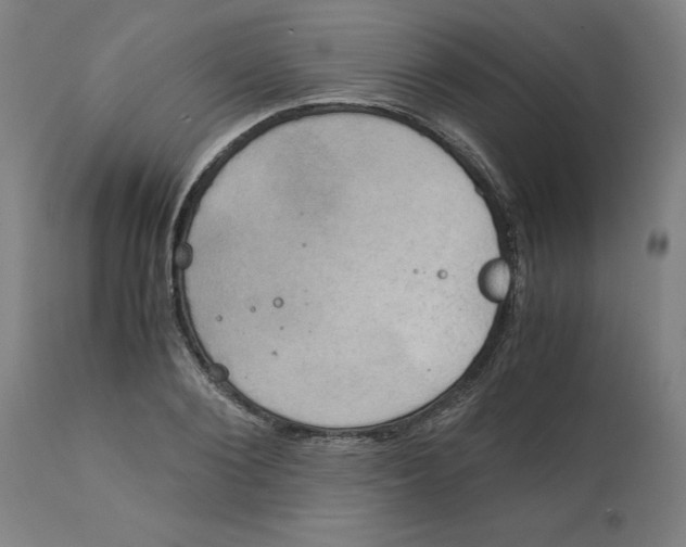 X0000111150884200907211200