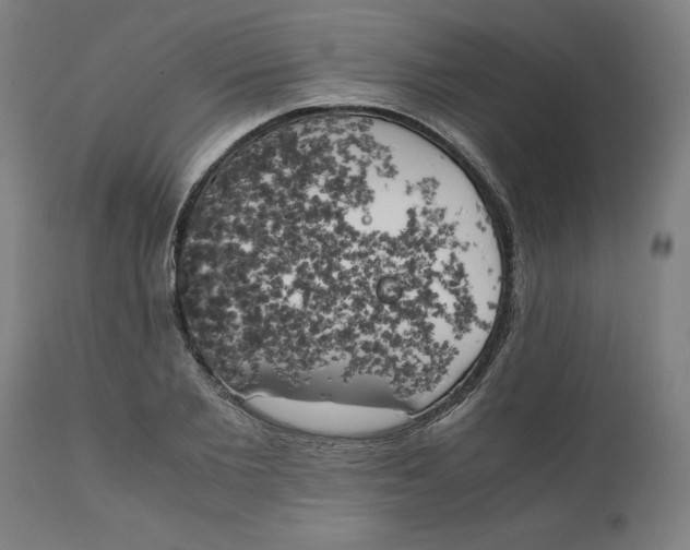 X0000111150885200907211200