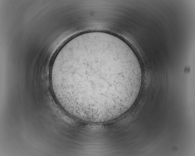 X0000111150886200907211200