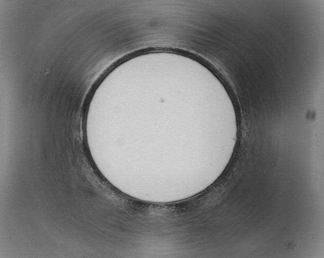 X0000111150887200907211200