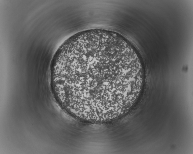 X0000111150888200907211200