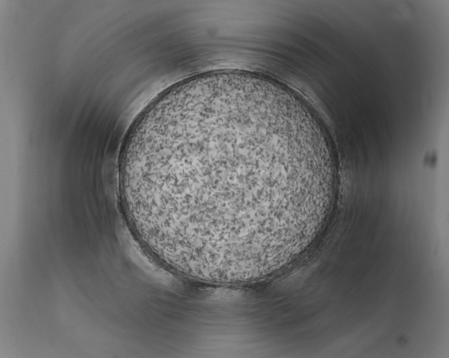 X0000111150890200907211200