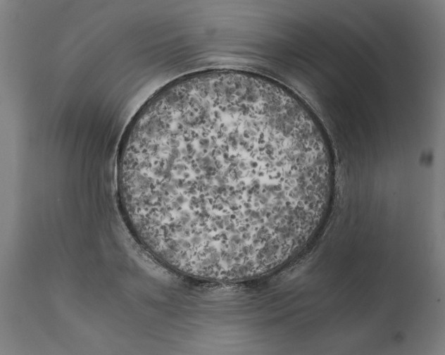 X0000111150891200907211200