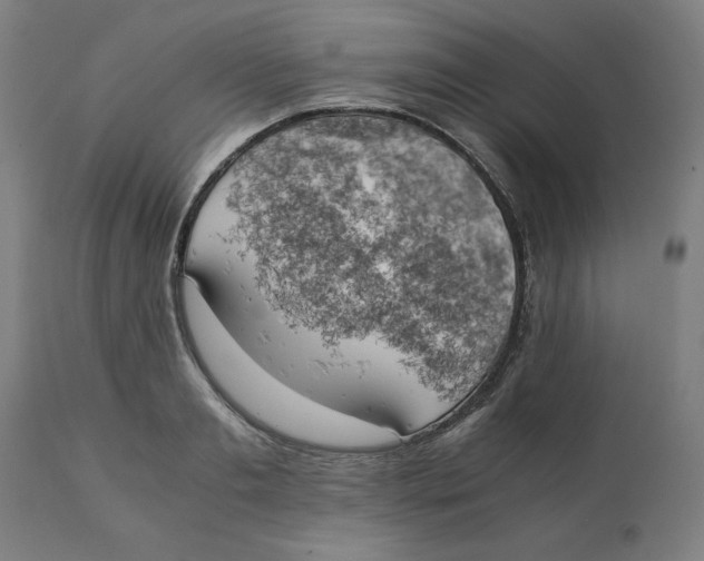 X0000111150893200907211200
