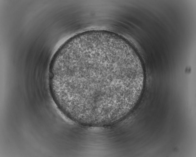 X0000111150894200907211200