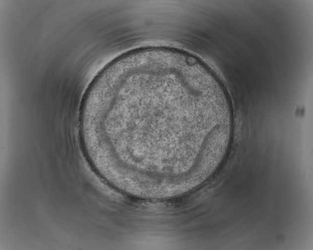X0000111150895200907211200