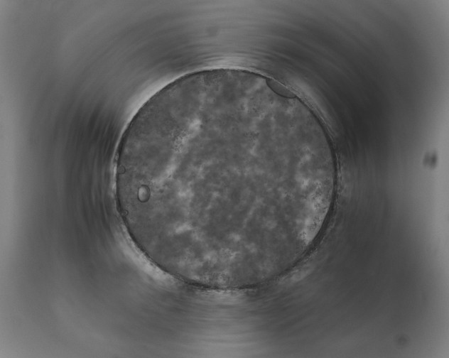 X0000111150900200907211200