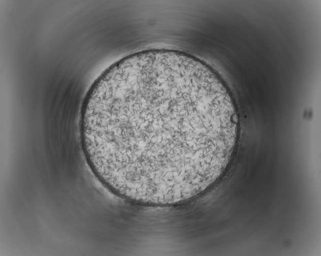 X0000111150902200907211200