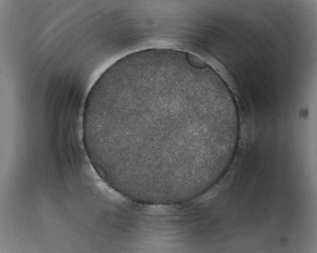 X0000111150904200907211200