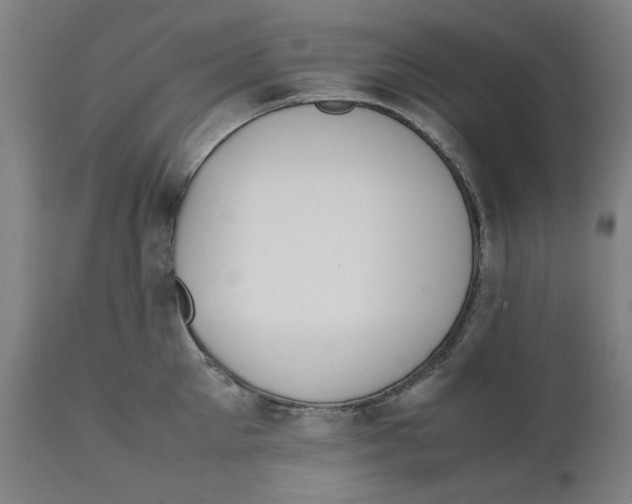 X0000111150905200907211200