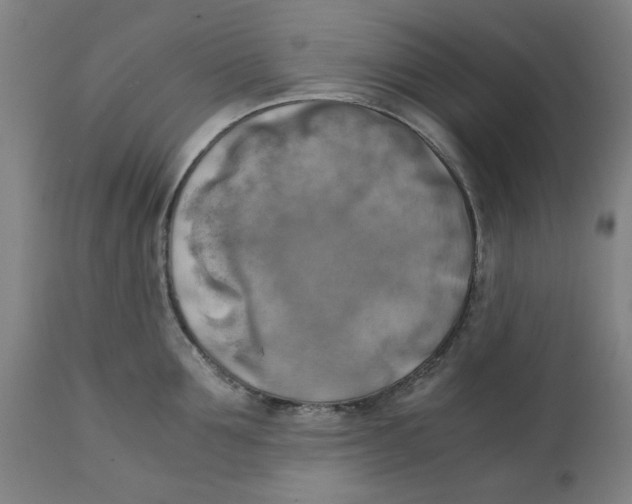 X0000111150907200907211200
