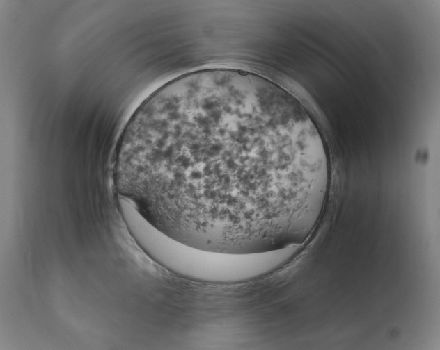 X0000111150908200907211200