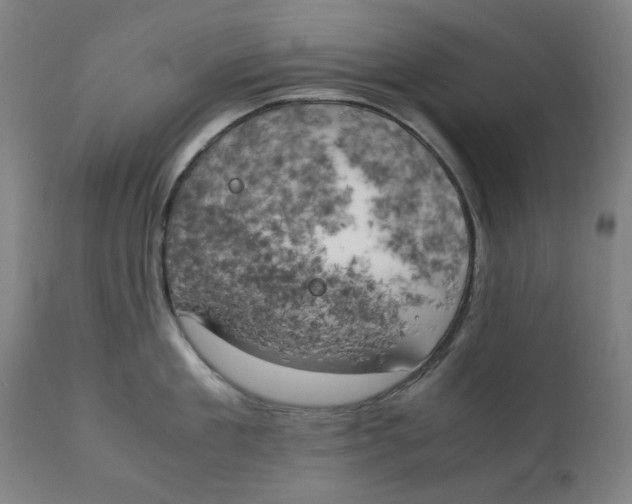 X0000111150909200907211200
