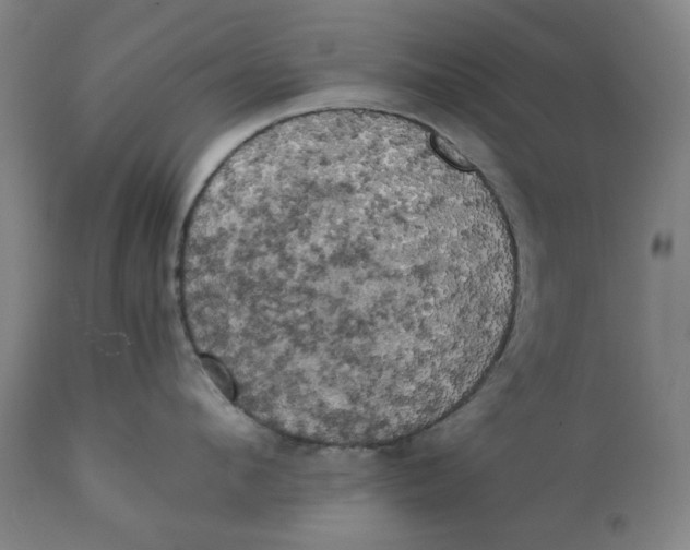 X0000111150912200907211200