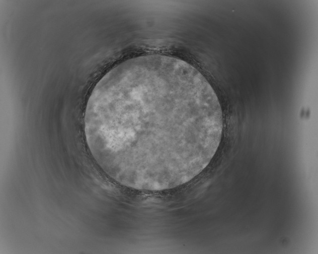 X0000111150913200907211159
