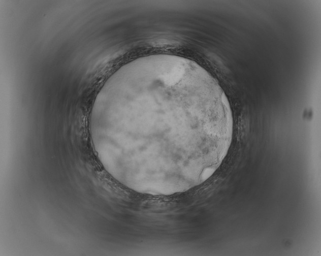 X0000111150917200907211159