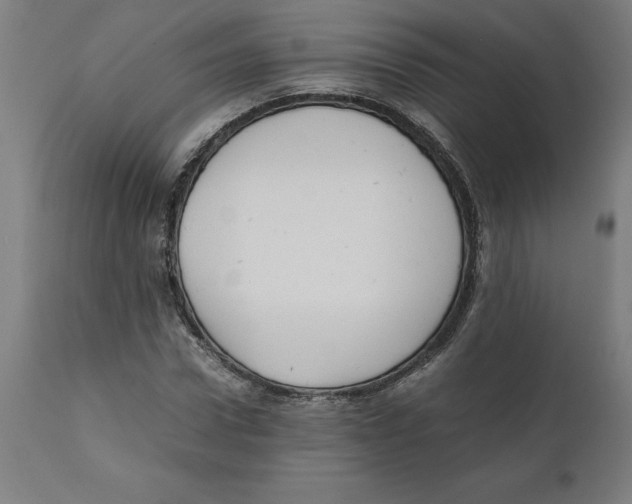 X0000111150922200907211159
