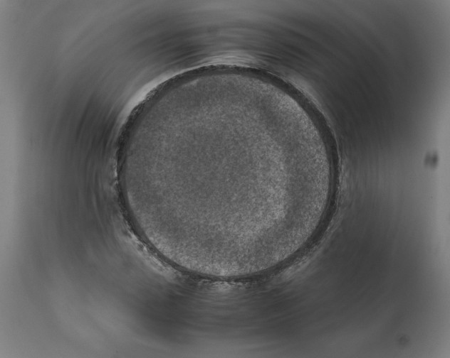 X0000111150923200907211159