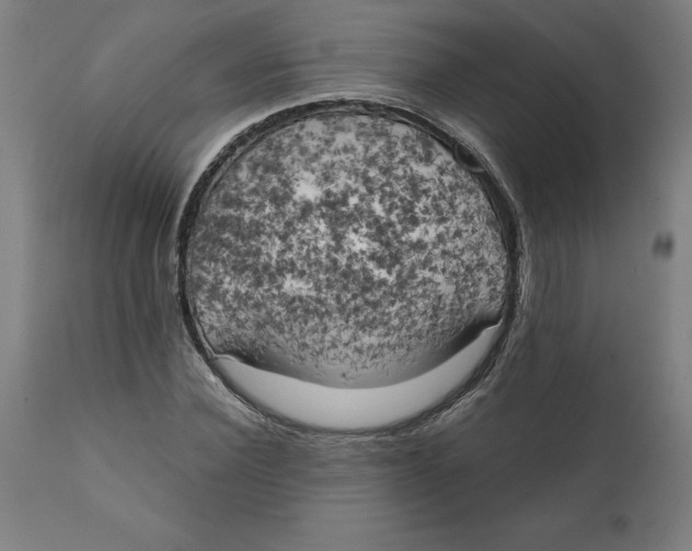 X0000111150924200907211159