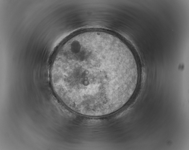 X0000111150925200907211159