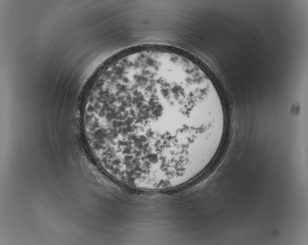 X0000111150926200907211159