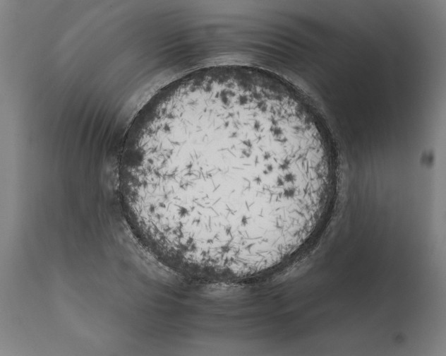 X0000111150929200907211159