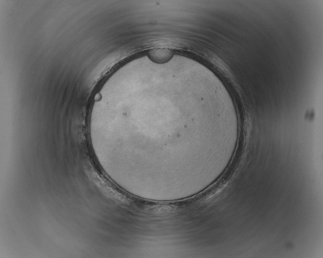 X0000111150930200907211159